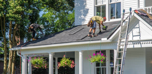 Professional Roofing in Velva, ND